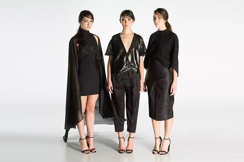 羅德島設(shè)計(jì)學(xué)院 服裝設(shè)計(jì) 申請(qǐng)解析 如何拿下 善變 的獨(dú)立命題項(xiàng)目